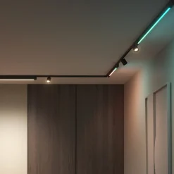 Philips Hue Arbejdsrum/Kontor|Skinnesystem>Perifo 2x Spots, Gradient Tube sort