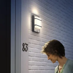 Philips LED udendørs væglampe Petronia UE, sensor