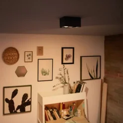 Philips Spotlights|Loftlamper>myLiving Box LED-spot, 2 lyskilder, sort