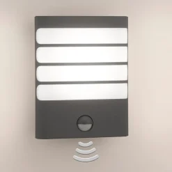 Raccoon LED-væglampe antracit^Philips Hot