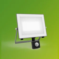 udendørs LED-spot Lois UE Sensor, 24 W, 5.000 K IP65^Philips