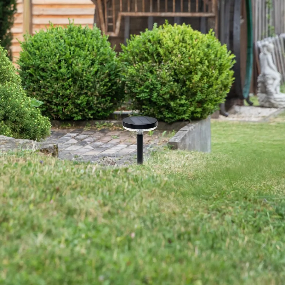 PRIOS Solcellelamper|Udendørs Spot>Glenios LED-solcellelampe med jordspyd