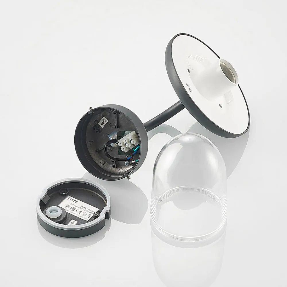 PRIOS Væglamper>Larkumi udendørs væglampe med E27-fatning