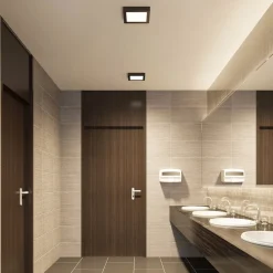 PRIOS LED-loftlampe Alette, sort, 24 W, CCT, dæmpbar