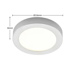 LED-loftlampe Edwina, sølv, 23 cm, CCT, IP44^PRIOS Clearance