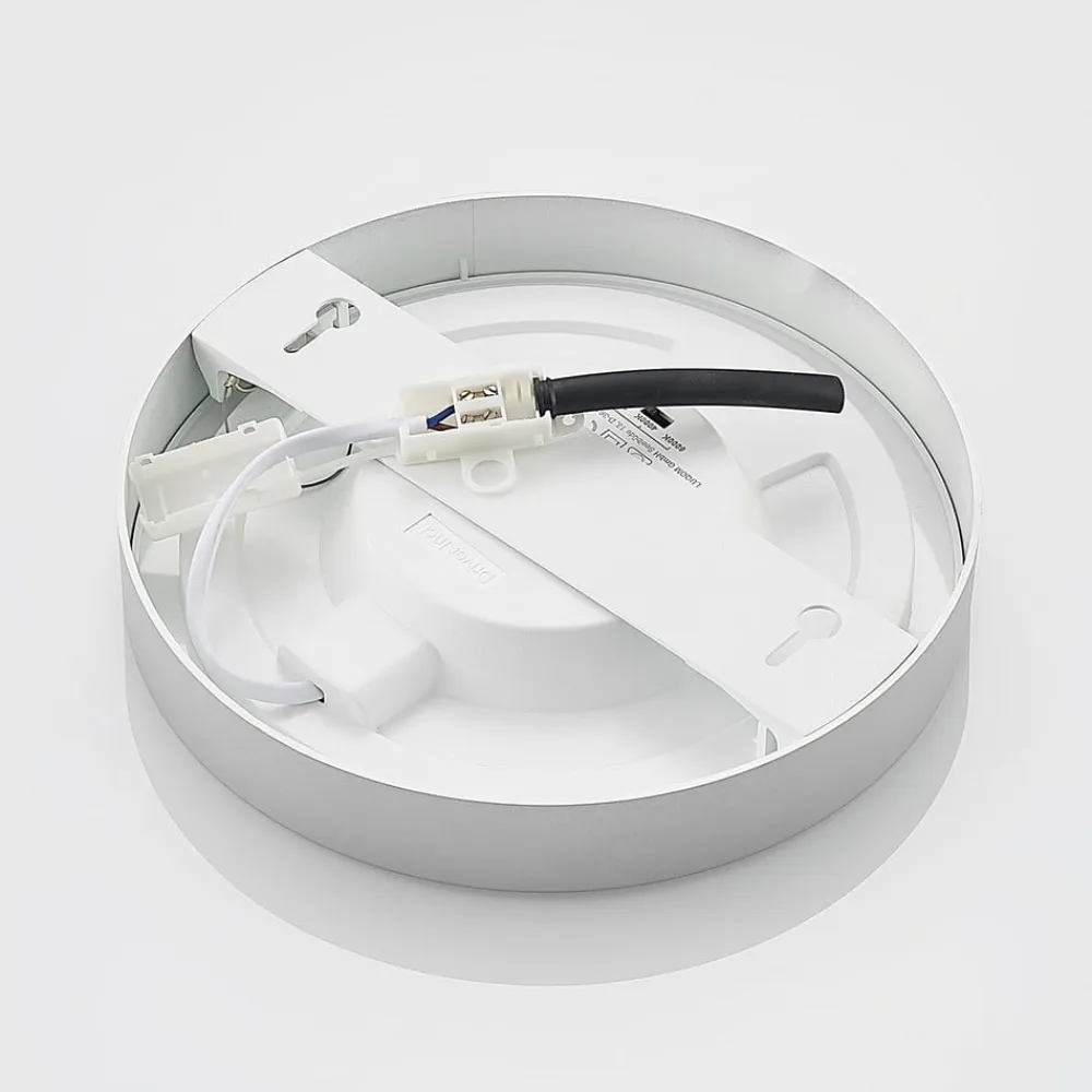 LED-loftlampe Edwina, sølv, 23 cm, CCT, IP44^PRIOS Clearance