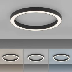 LED-loftlampe Lines, Ø 50 cm, antracit, CCT, fjernbetjening^PURE Online