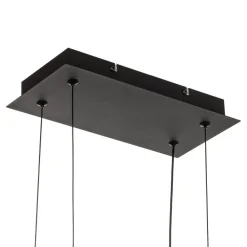 Salinas LED-hængelampe, 3.000 K, mat sort^Trio Lighting Outlet