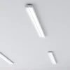 Taris LED-loftlampe, 123 cm, EVG-DALI^Siteco Online