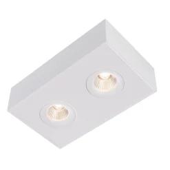 The Light Group Indbygningsspots>SLC DL04 Surface X2 påbygningslampe 3.000 K hvid