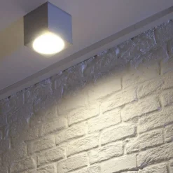 SLV Udendørs Loftlamper>Big Theo udendørs loftslampe, grå