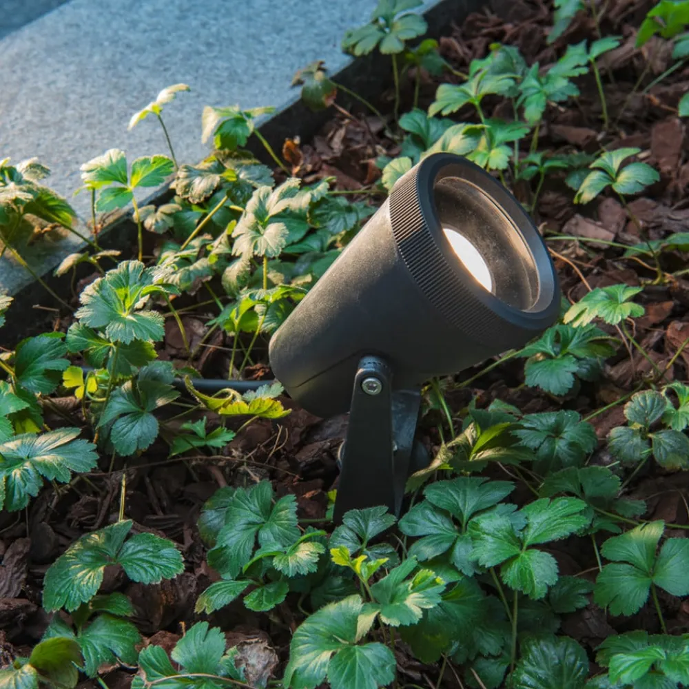 Samrina lampe med jordspyd, sort, plast, højde 13 cm^SLV