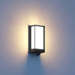 STEINEL L42 SC udendørs LED-væglampe sensor antracit