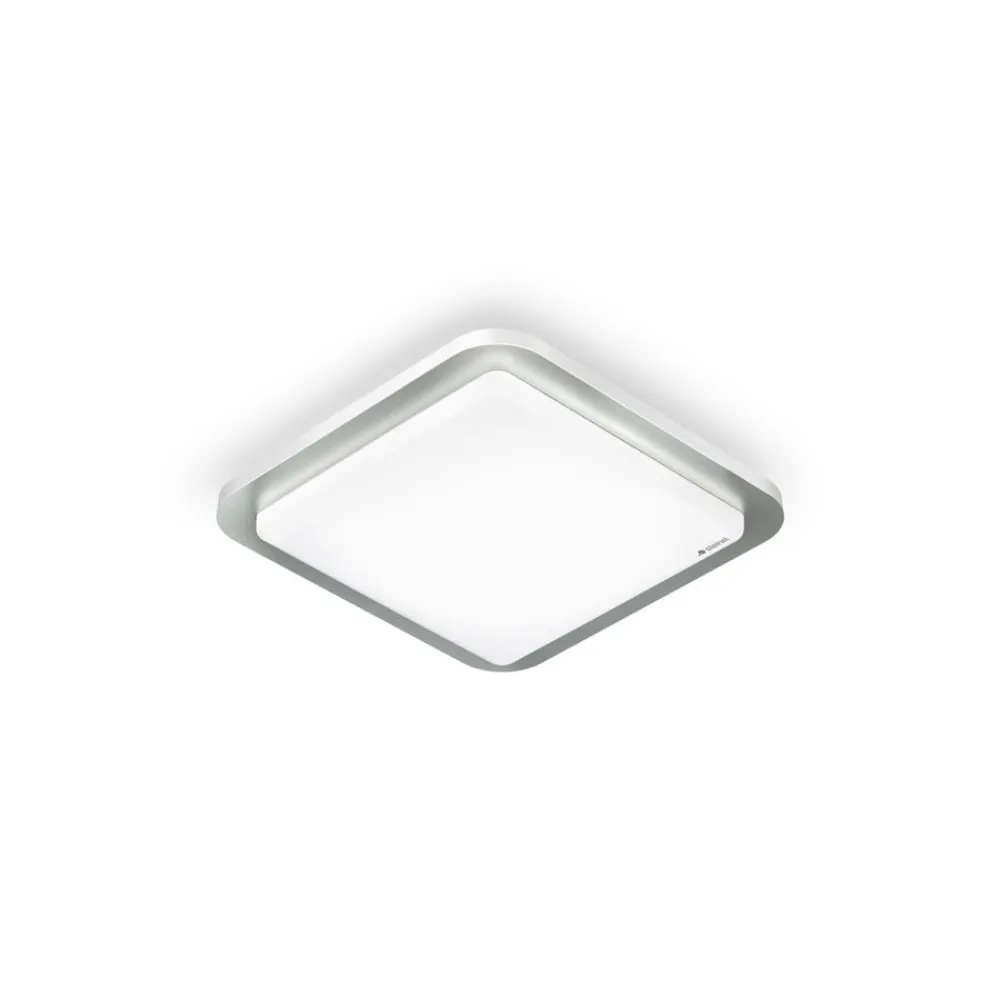 RS D2 V3 LED-loftlampe, børstet stål^STEINEL Online