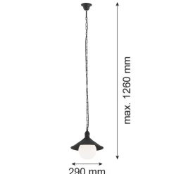 Argon Udendørs Pendellamper|Terrassebelysning>Udendørs hængelampe Enduro, sort, stål, glas, IP44, E27