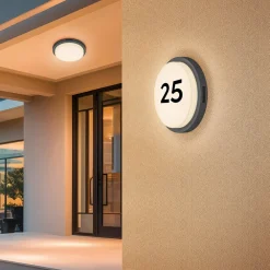 Trio Lighting Væglampe Med Sensor>Udendørs LED-væglampe Bermejo, rund, sensor, CCT, antracit