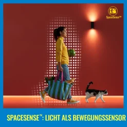 WiZ A60 LED-pære mat WiFi E27 8,5W RGBW