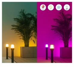 Elpas LED-gadelampe sort RGBW udvidelse^WiZ New