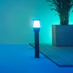 WiZ Elpas LED-gadelampe sort RGBW startsæt