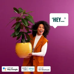 WiZ Elpas LED-gadelampe sort RGBW startsæt