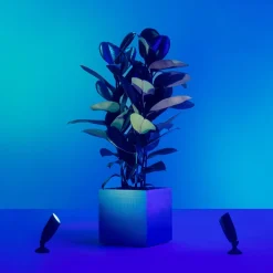 WiZ LED-spot Ground startsæt, dobbeltpakke